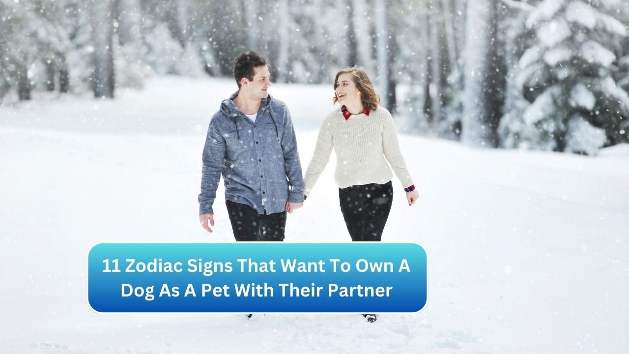 11 Zodiac Signs That Want To Own A Dog As A Pet With Their Partner